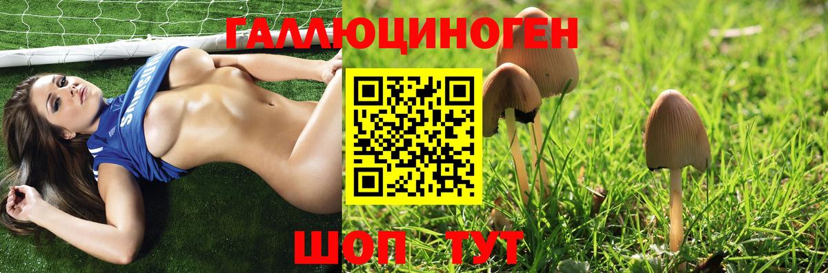 Кольчугино  Псилоцибиновые грибы мухоморы  Вход с VPN 